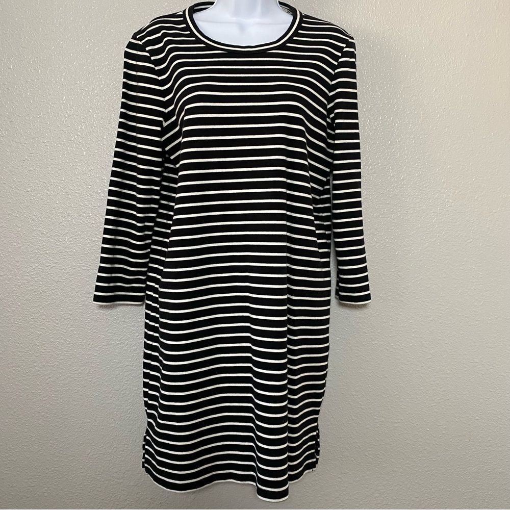 Madewell Striped Preppy Twee Minimalist Casual 100% Cotton Long‎ Sleeve Dress L